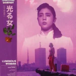 Film Analysis : Luminous Woman (1987) by Shinji Somai