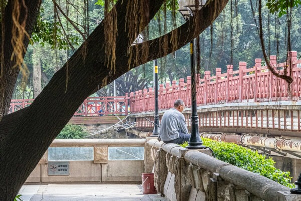 An older man with close-shaven gray hair and a gray sweatshirt sits alone on a concrete railing near a large willow tree. Across from him is a traditional Chinese wooden walkway or bridge with red-painted wooden railings.